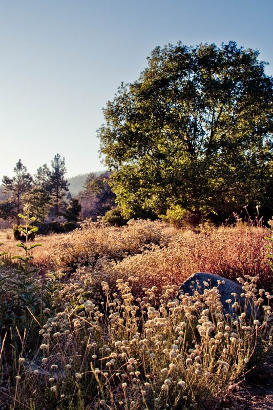 Cuyamaca Rancho Photo Location