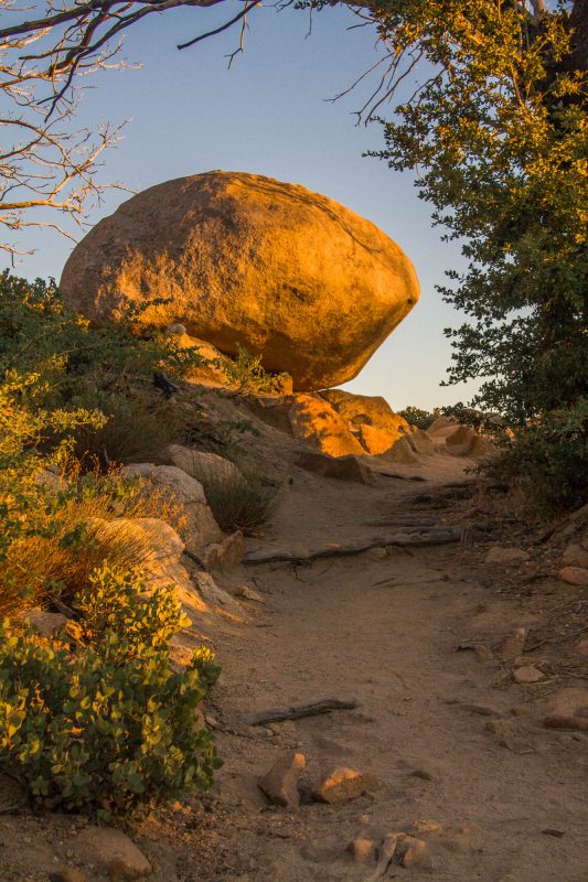 Hiking Trail Photo