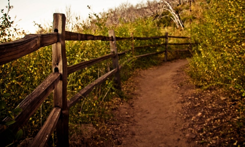 Cuyamaca Hiking Trail