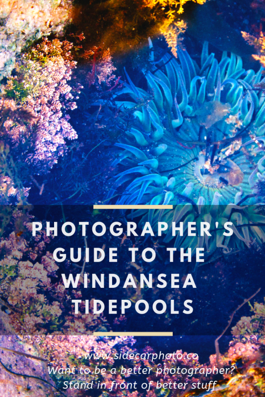 Photographing the Windansea Tidepools Sidecar Photo