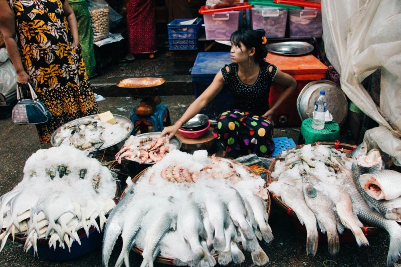 Beautiful Burmese Fisherwomen