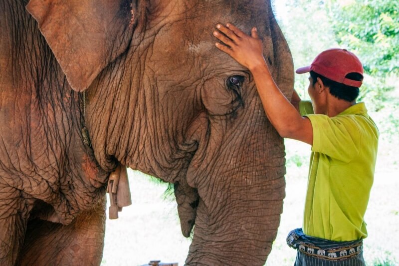 Green Hill Valley Elephant Camp