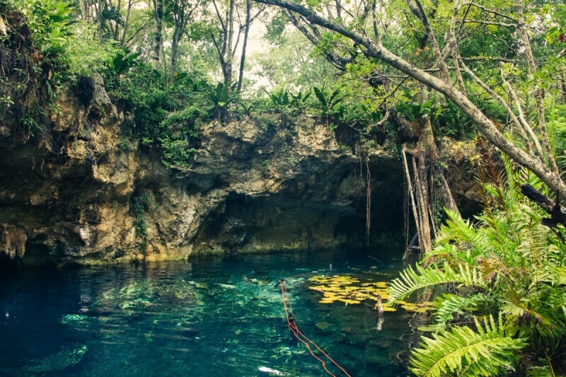 Blue waters of Gran Cenote