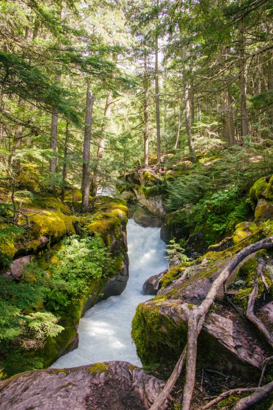 Avalanche Lake Trail