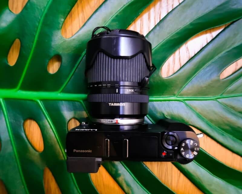 loterij Dag component The Best Micro Four Thirds Lenses for Travel | Sidecar Photo