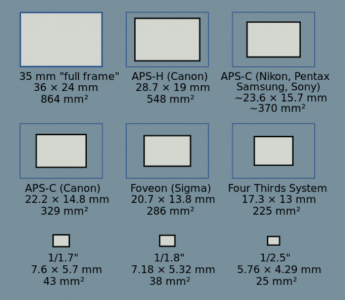 Sensor size comparison for a variety of camera types.