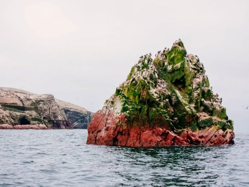 Ballestas Islands Photo Guide