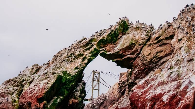 Ballestas Islands Tour in Peru