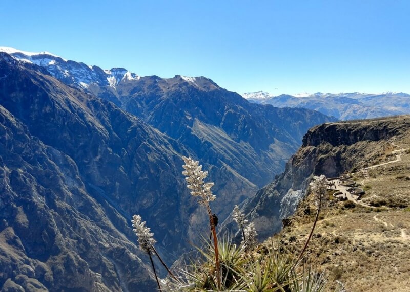 Cruz del Condor, Colca Canyon