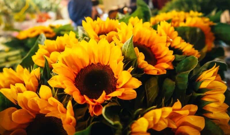 Quang Ba Flower Market